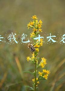 男士钱包十大名牌