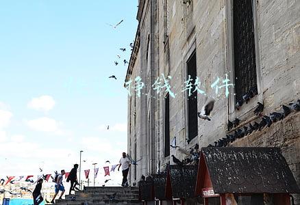 快速挣钱软件