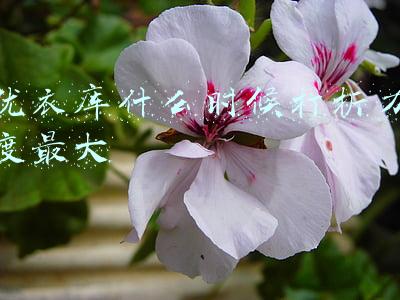 优衣库什么时候打折力度最大