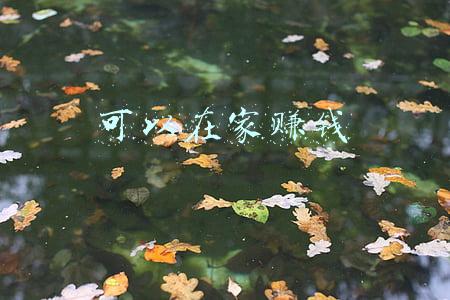 可以在家赚钱