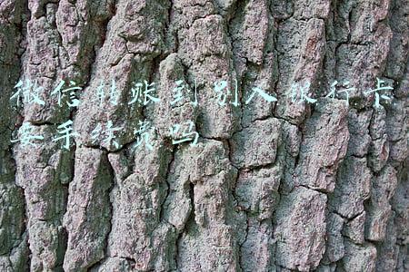 微信转账到别人银行卡要手续费吗