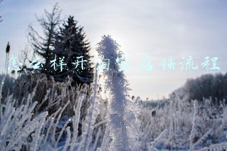 怎么样开淘宝店铺流程