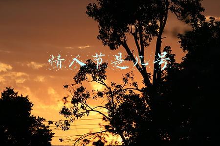 情人节是几号