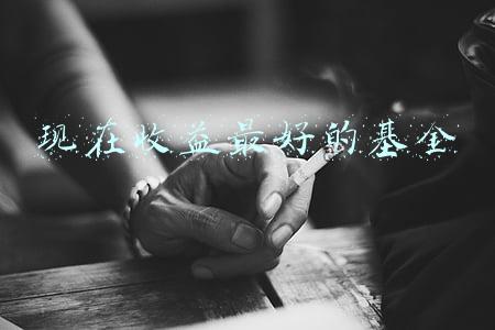 现在收益最好的基金
