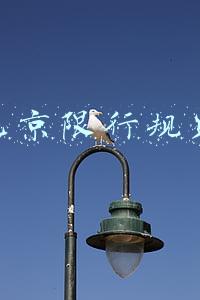 北京限行规则