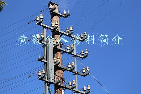 黄薇个人资料简介