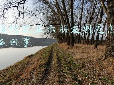 微信不显示朋友圈是怎么回事