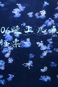 12306火车票订票官网(12306官网：明天起主要干线火车票预售期恢复至30天)