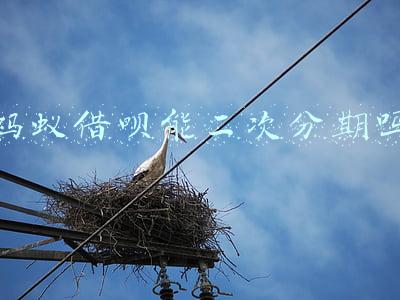 支付宝借呗二次分期可行吗(提醒！从借呗贷款转借给他人，借贷行为无效)