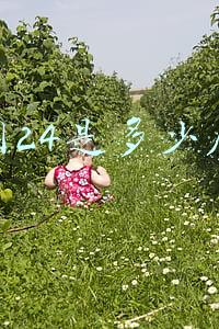 腰围24是多少厘米