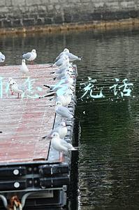 q币怎么充话费