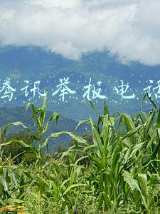 腾讯举报电话人工服务号码是多少(9岁女孩玩手机游戏刷光3张银行卡1.4万余元 腾讯游戏未成年人健康服务专线无人接听)