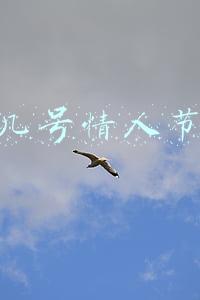 几号情人节