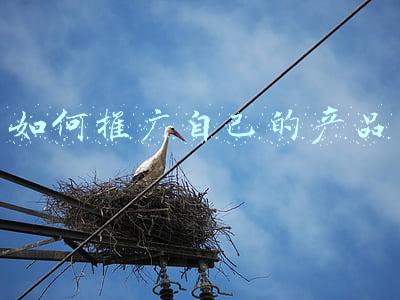 如何推广自己的产品