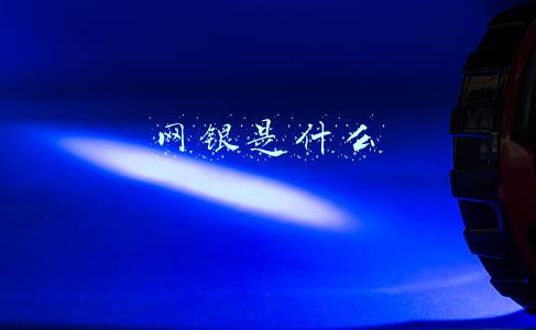 网银是什么