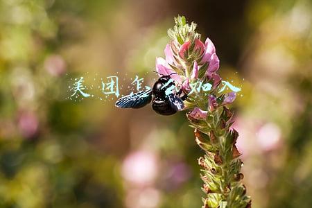 美团怎么加入