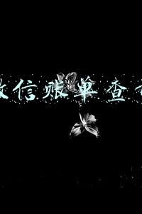 微信账单查询