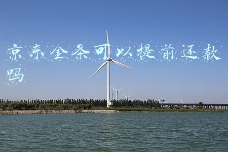 京东金条可以提前还款吗