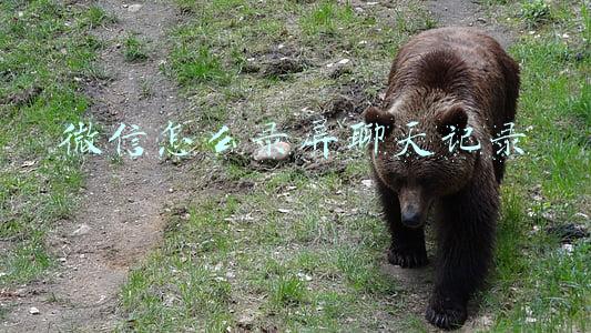 微信怎么录屏聊天记录