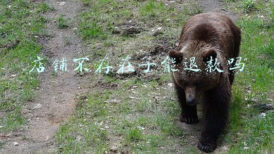 商家店铺不存在了能申请退款吗(加盟商个人原因未开店可以退款吗？)