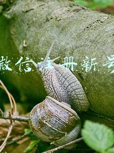 微信注册新号