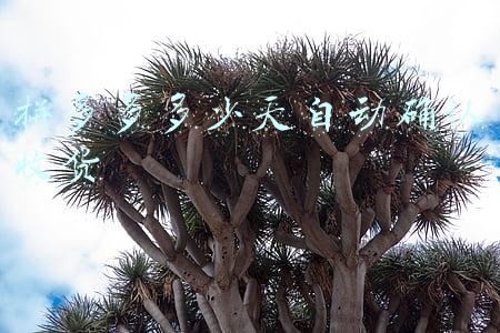 拼多多多少天自动确认收货