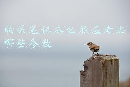 购买笔记本电脑应考虑哪些参数