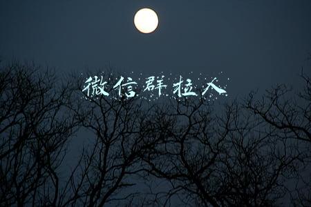 微信群拉人