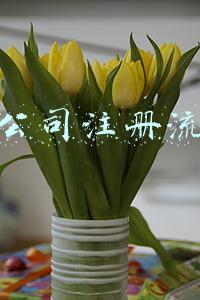 开公司注册流程