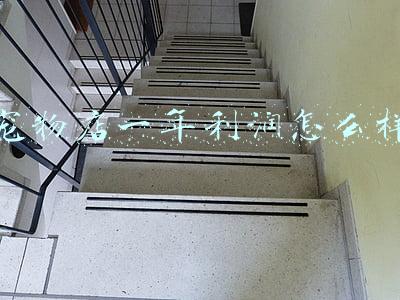宠物店一年利润怎么样