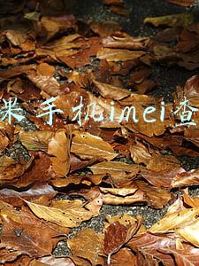 苹果手机imei查询