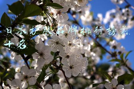 日本护肤品牌排行榜前十名