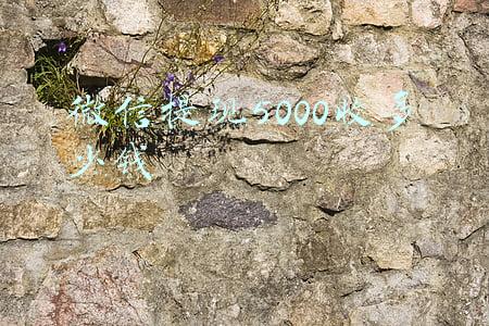 微信提现5000收多少钱