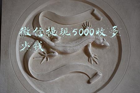 微信提现5000收多少钱