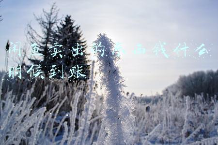 闲鱼卖出的东西钱什么时候到账 闲鱼卖出的东西钱什么时候到账