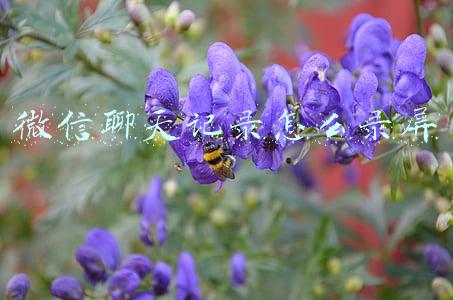 微信聊天记录怎么录屏