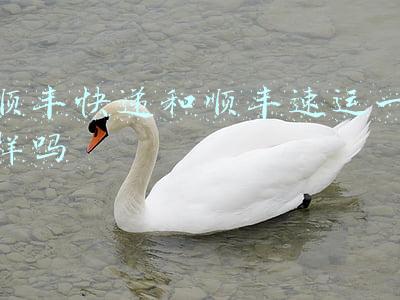 顺丰快递和顺丰速运一样吗