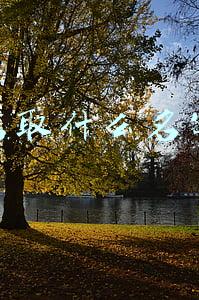 开店取什么名字好