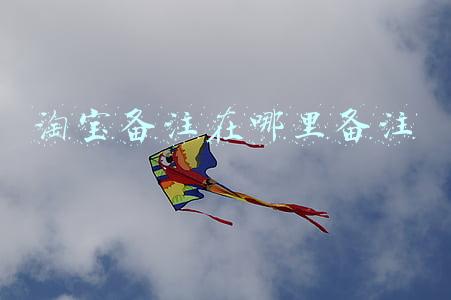 淘宝卖家备注在哪里(订单旗帜接口、备注接口】拼多多商家运营小技巧，新店必看小技巧)