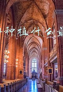 2014种植什么最赚钱
