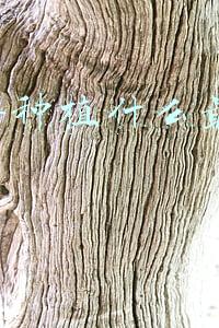 2014种植什么最赚钱
