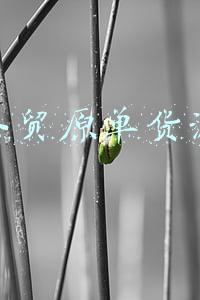 外贸原单货源渠道(什么是外贸原单？外贸原单和正品的区别？外贸原单的进货渠道？)