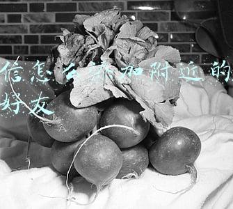 微信怎么添加附近的人为好友