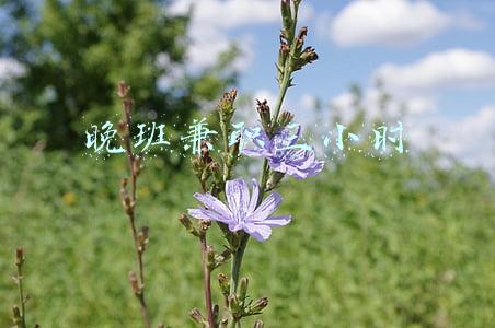 晚上三小时兼职(济南晚兼职三小时)