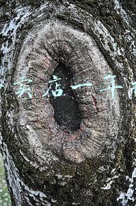 美的代理商一年赚多少(美团外卖加盟商一年可以挣多少钱?)