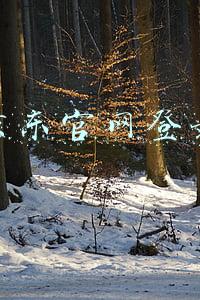 京东官网登录入口(京东国际6周年庆火爆开启 超级百亿补贴等重磅福利轮番来袭)