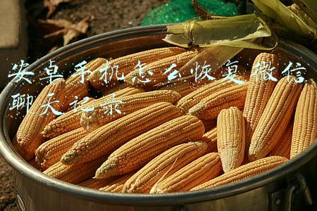 安卓手机怎么恢复微信聊天记录