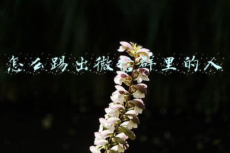 怎么踢出微信群里的人