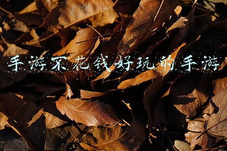 有没有不怎么花钱的手游(新出的大型手游游戏排行，2022新公测网络游戏，好玩不花钱)