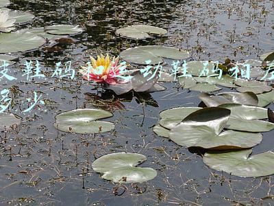 皮鞋码和运动鞋码相差多少厘米(爱看吧网友讨论网上买鞋运动鞋比皮鞋大一码吗？神回复)